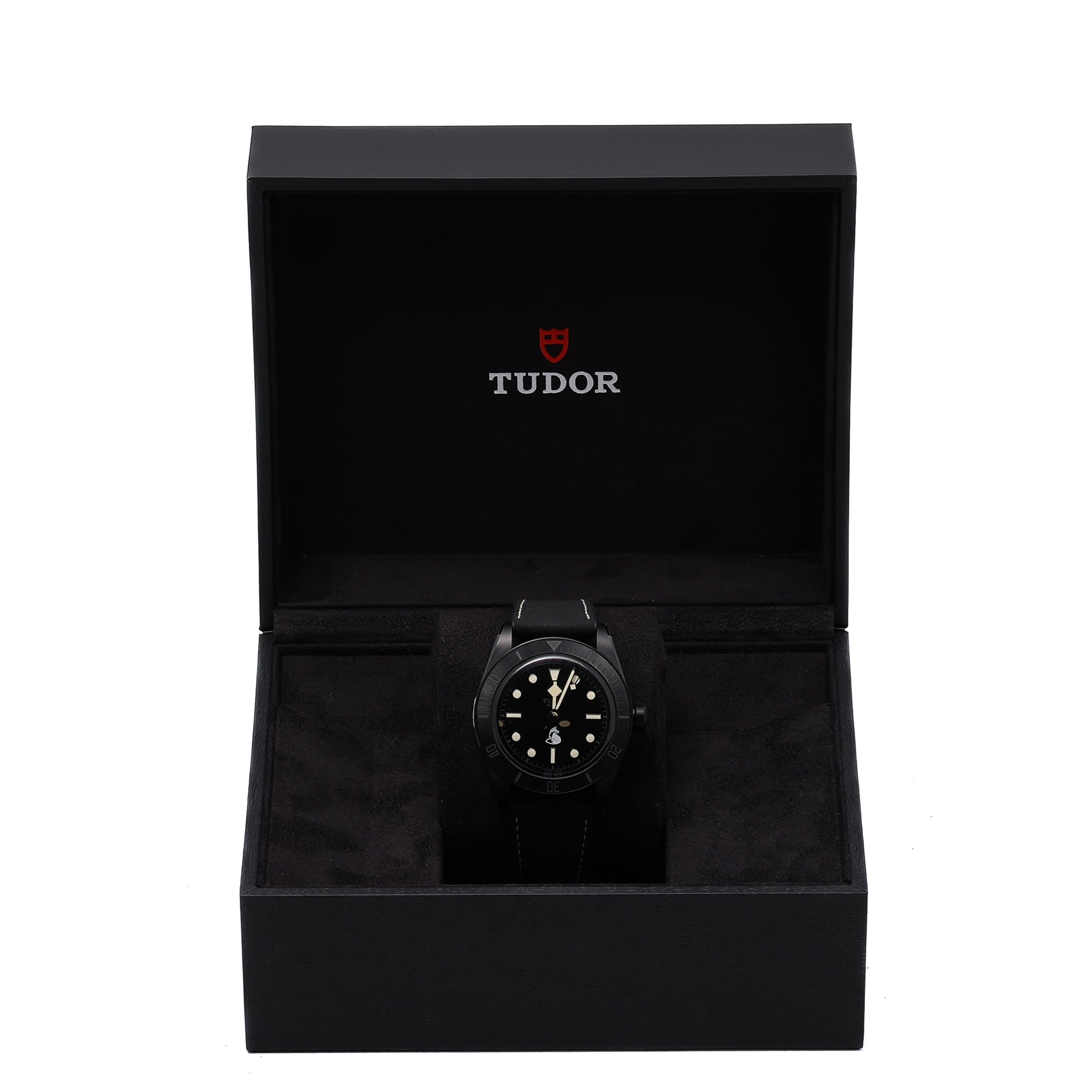 TUDOR SPECIAL PROJECT TEC...