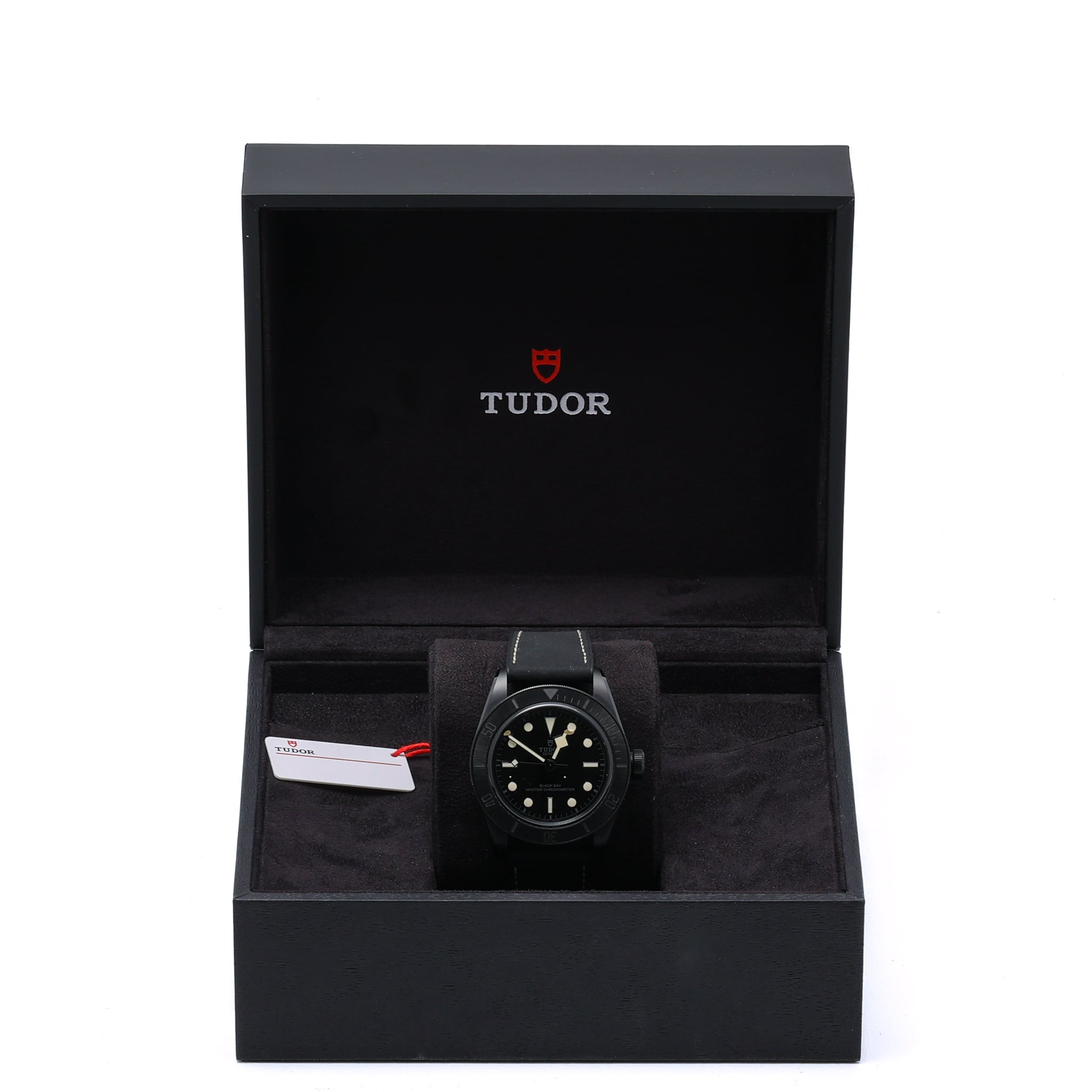 TUDOR BLACK BAY
